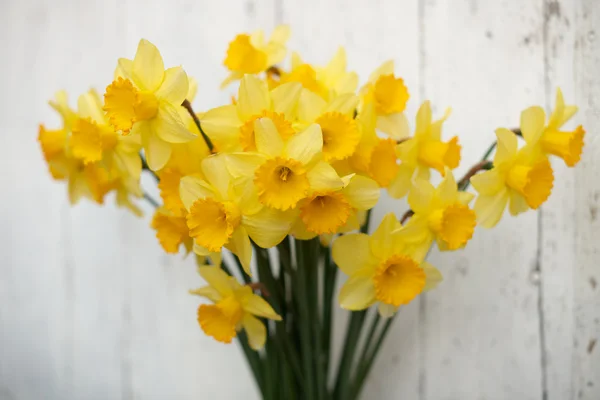 Buquê de Daffodil — Fotografia de Stock