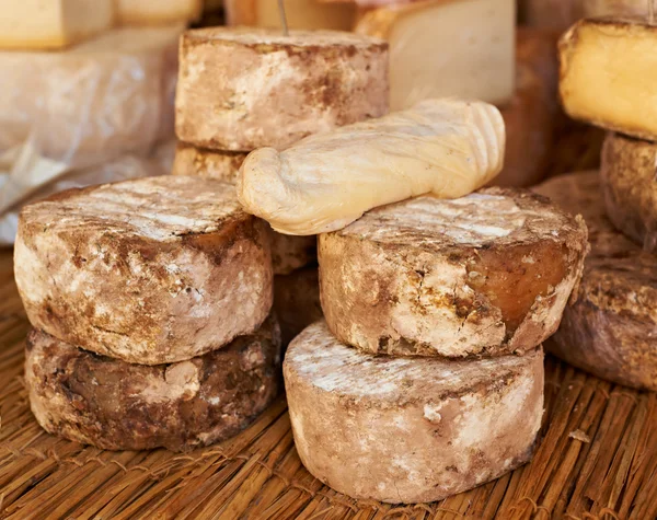 Speciale Franse kaas van provence — Stockfoto