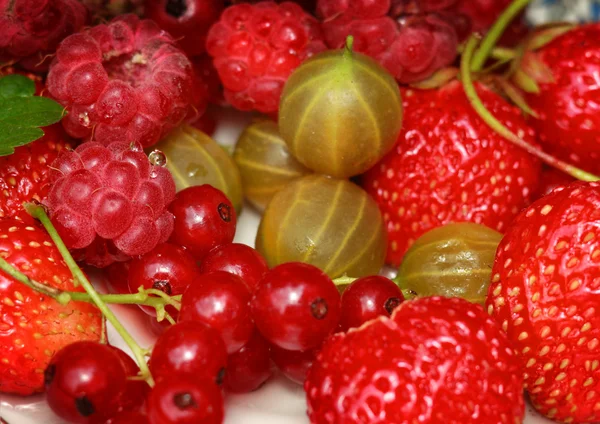 Frutas — Foto de Stock