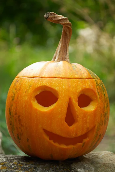 stock image Helloween pumpkin lantern