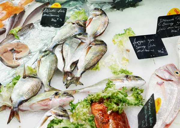 Peixe fresco no mercado francês — Fotografia de Stock