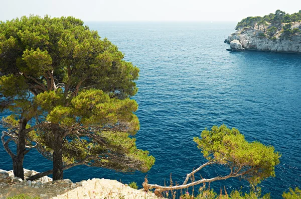 Mediterranean sea near Cassis — Stock Photo, Image