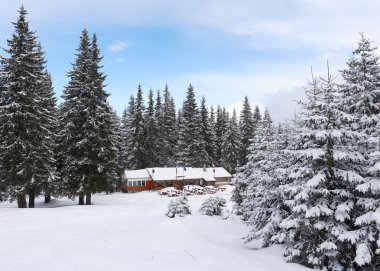 shelter Dağı