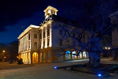 Sliven city hall and the old elm clipart