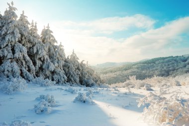 Winter Cristmas landscape from Bulgaria clipart