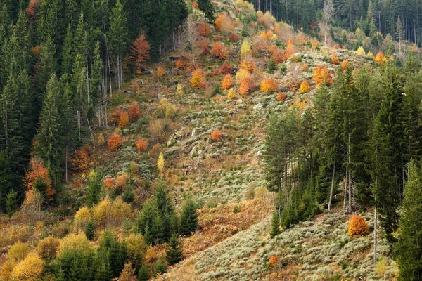 Paisaje montañoso de otoño —  Fotos de Stock