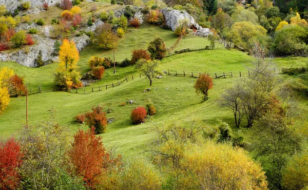 Podzimní horská louka — Stock fotografie