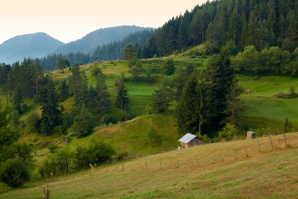 Letni poranek w górach Rodopy — Zdjęcie stockowe