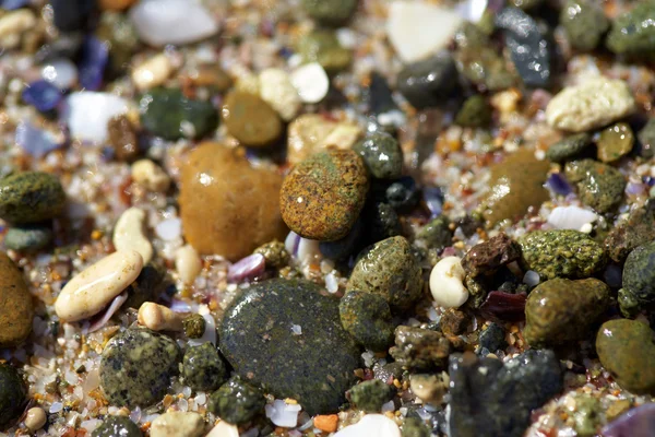 Zufällige runde Steine am Strand — Stockfoto