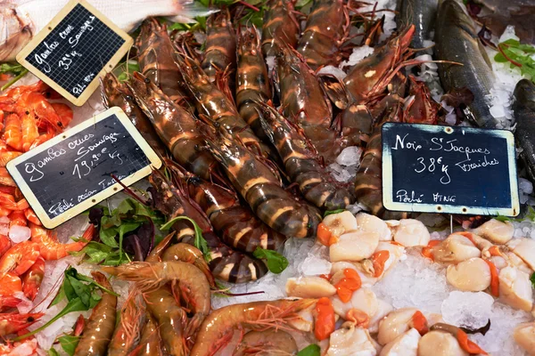 Camarões no mercado de peixe — Fotografia de Stock