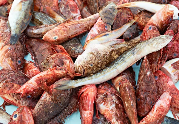 Slumpmässiga färsk fisk till salu — Stockfoto