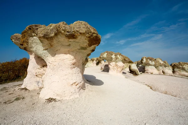 Las setas rocosas fenómeno de roca — Foto de Stock