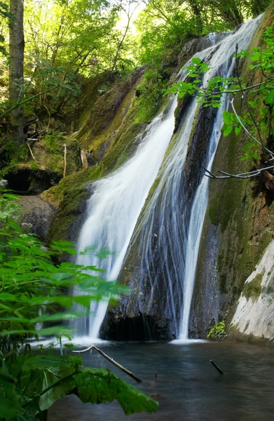 Waterval in het bos — Stockfoto