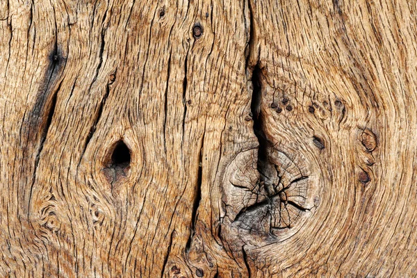 Holzstruktur aus altem Eichenholz — Stockfoto
