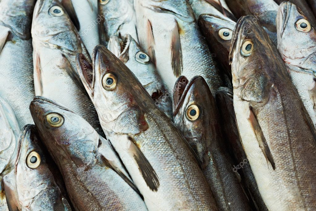 Cod fish — Stock Photo © mazzachi #9150326