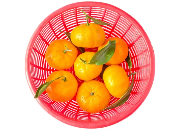 Apelsiner i korg — Stockfoto