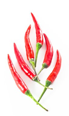 şekil chillis ateş