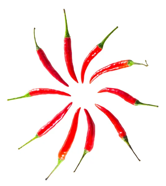 stock image The circle chillis isolated