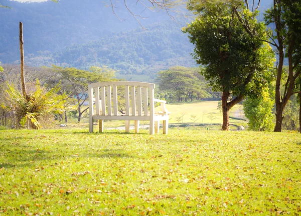 Stock image The bench