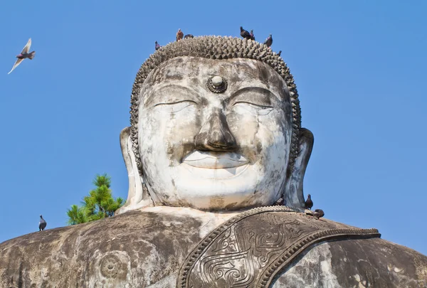 Sochy Buddhy v nongkhai, Thajsko — Stock fotografie