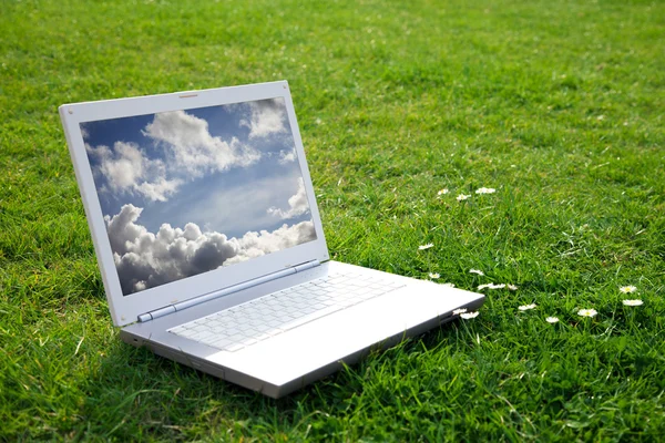 Biały laptopa w parku — Zdjęcie stockowe