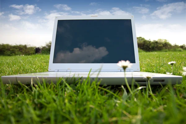 Weißer Laptop im Park — Stockfoto