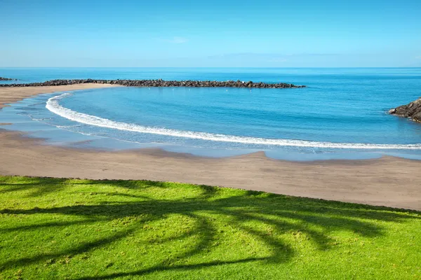 stock image Beach in Playa de las Americas, Tenerife