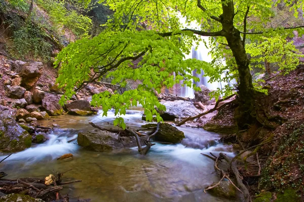 O rio perto de uma cachoeira — Fotografia de Stock