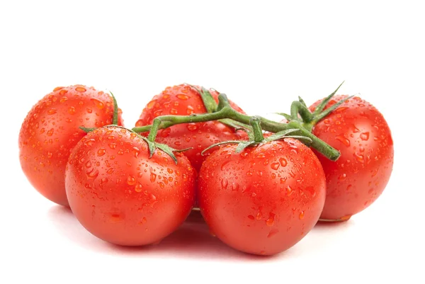 Tak van rode tomaten — Stockfoto