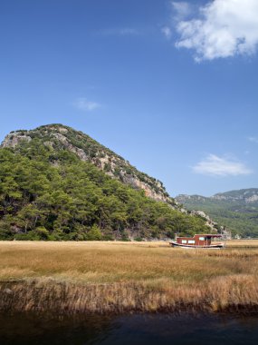 sazlık dalyan, mugla, Türkiye