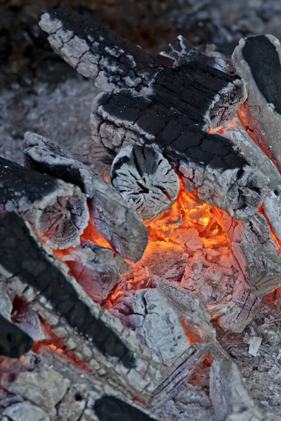 Brûlage des charbons de bois — Photo