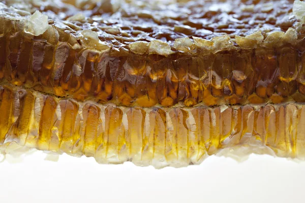 蜂蜜を櫛します。 — ストック写真