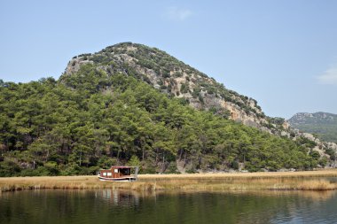 sazlık dalyan, mugla, Türkiye