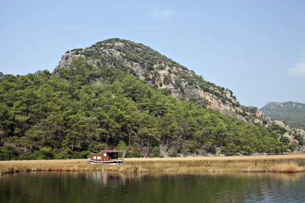 sazlık dalyan, mugla, Türkiye