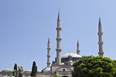 Selimiye Mosque, Edirne, Turkey clipart