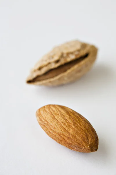 Two Almonds — Stock Photo, Image