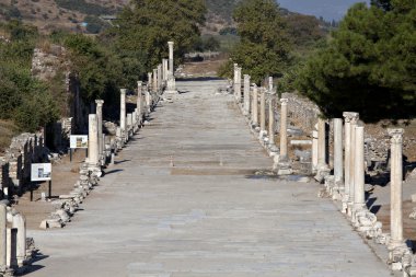 Ephesus Horbour sokak