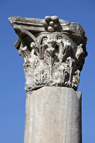 Kolumnen huvud, Efesos, izmir, Turkiet — Stockfoto