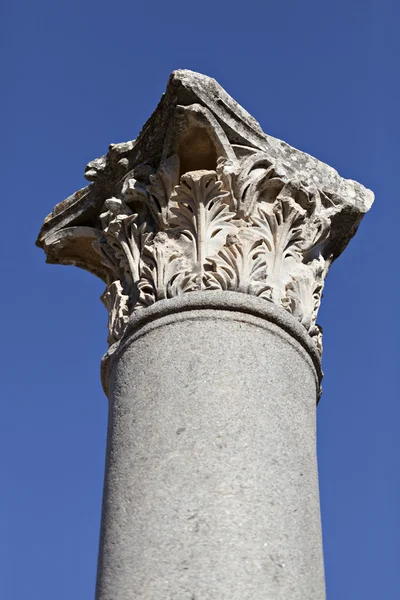 Tête de colonne, Ephèse, Izmir, Turquie — Photo