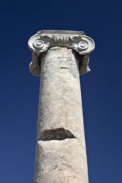 Head of column — Stock Photo, Image