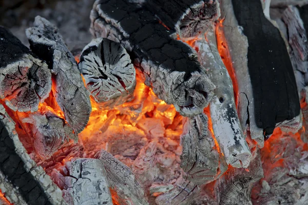 stock image Warm Log Fire