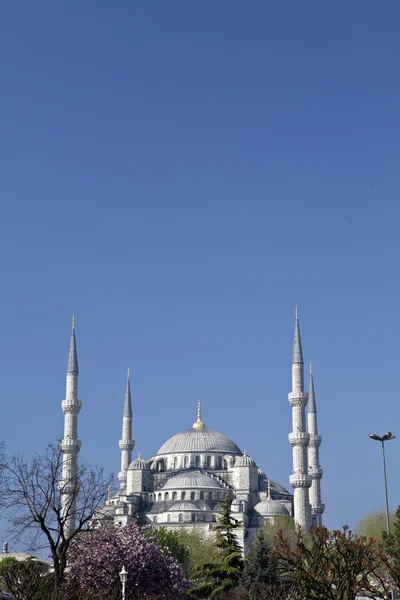 Sultan Ahmet mecsettől / Blue Mosque — Stock Fotó