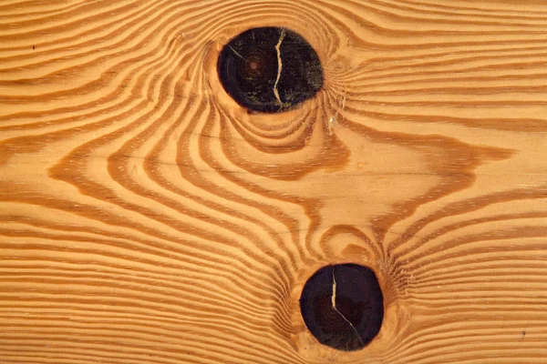 Pine trunk — Stock Photo, Image