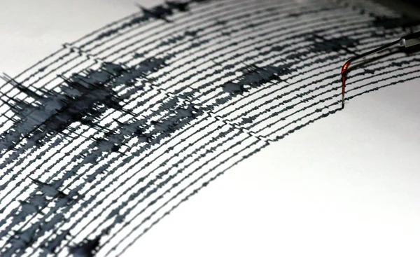 Seismogram 스톡 사진
