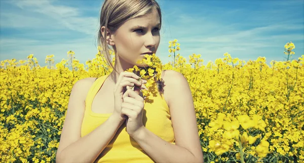 Stock image Young business woman relaxing on golden meadow