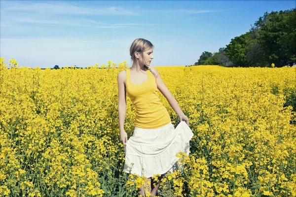 金色的草地上放松的年轻商业女人 — 图库照片