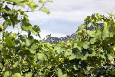 Wachau