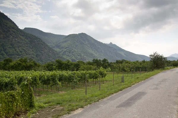 stock image Wachau