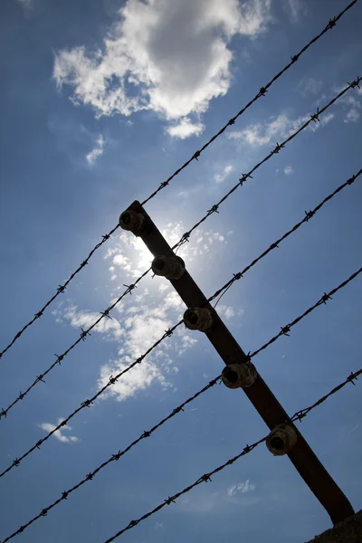 stock image Barbed wire and sunlight in Mathausen