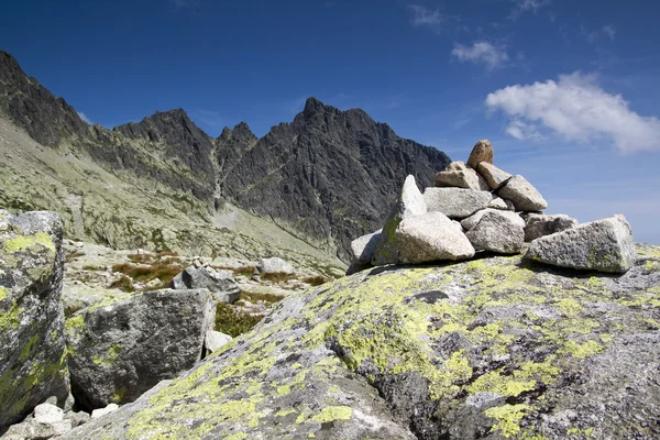Vysoke 트리, 높은 Tatras — 스톡 사진